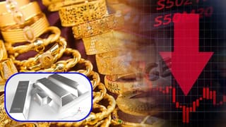 Gold Silver Rate : મધ્યમ વર્ગને હાશકારો ! સોનું સસ્તું થયું પણ ચાંદીના ભાવમાં તેજી, હવે આગળ શું ?