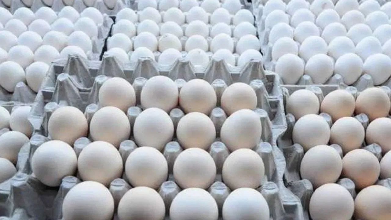 ઈંડાનો સફેદ ભાગ ત્વચાને ટાઈટ બનાવવામાં ખૂબ જ અસરકારક માનવામાં આવે છે. ઈંડાનો સફેદ ભાગ ચહેરા પર લગાવો અને સુકાઈ જાય પછી તેને હુંફાળા પાણીથી ધોઈ લો. અઠવાડિયામાં 1 કે 2 વાર આનો ઉપયોગ કરવાથી ફાઇન લાઇન્સ ઓછી થાય છે.