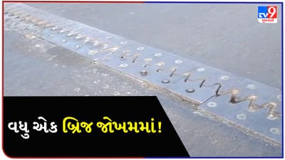 અમદાવાદમાં ફરી એક બ્રિજ બન્યો જોખમી! સુભાષબ્રિજ બાદ ઈન્કમટેક્સ બ્રિજના જોઇન્ટ તૂટતાં ચિંતા વધી, જુઓ Video