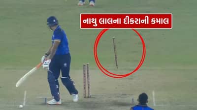 Ashok sharma : કોણ છે નાથુ લાલનો દીકરો અશોક શર્મા? જેણે 19 વિકેટ લઈ વરસાવ્યો કહેર, જુઓ Video