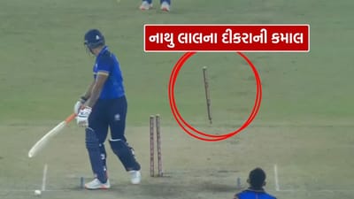 Ashok sharma : કોણ છે નાથુ લાલનો દીકરો અશોક શર્મા? જેણે 19 વિકેટ લઈ વરસાવ્યો કહેર, જુઓ Video