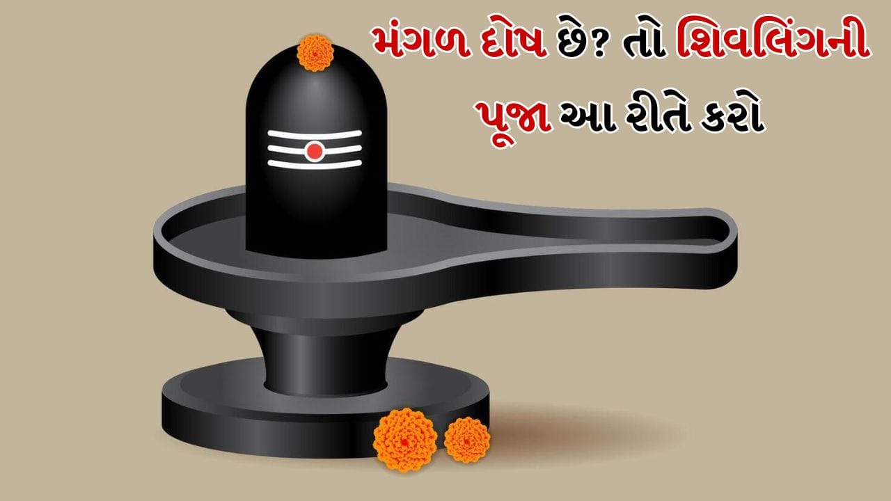Shiv Puja Astro Trips: મહાદેવની પૂજા કરવાથી જીવનની બધી મુશ્કેલીઓ દૂર થાય છે. ભગવાન શિવની પૂજા કરવાથી જન્મકુંડળીમાં મોટા દોષો પણ દૂર થઈ શકે છે. શિવપુરાણ અનુસાર ભગવાન શિવ અને તેમનો સમગ્ર પરિવાર શિવલિંગમાં રહે છે. દેવી પાર્વતી, ભગવાન ગણેશ, ભગવાન કાર્તિકેય અને પુત્રી અશોક સુંદરી પણ શિવલિંગમાં રહે છે.
