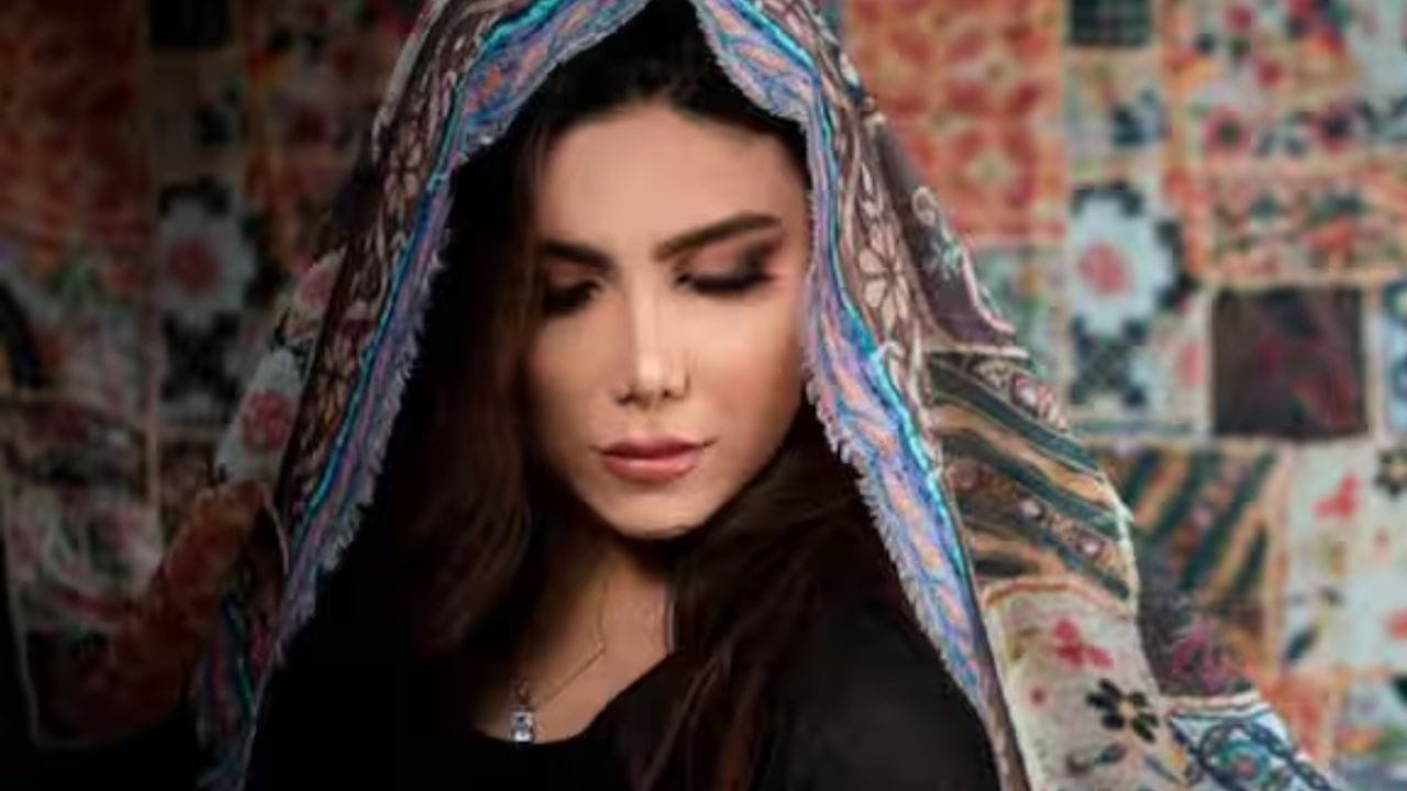 Authentic Pashmina Shawl (2)