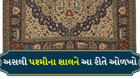 Pashmina Shawl: અસલી પશ્મીના શાલની કિંમત કેટલી છે?