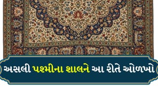 અસલી પશ્મીના શાલની કિંમત કેટલી છે? તેની ખાસિયત જાણીને તમને નવાઈ લાગશે