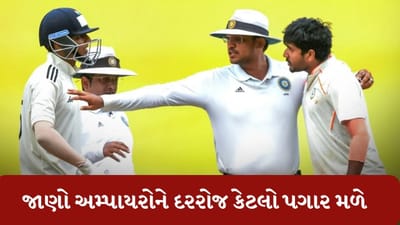 BCCIએ 7 વર્ષથી અમ્પાયરોના પગારમાં વધારો કર્યો નહીં, જાણો દરરોજ કેટલો મળે છે પગાર