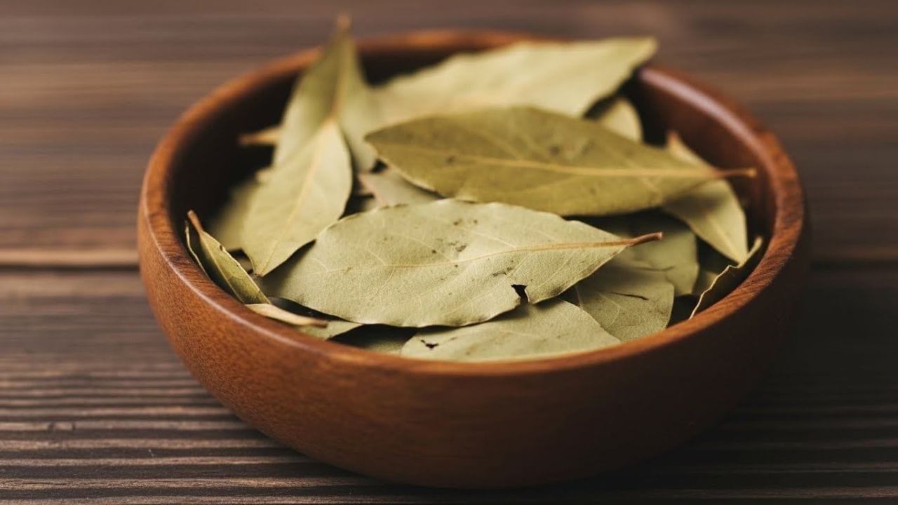 તમાલપત્રમાં રહેલા બળતરા ઘટાડનારા ગુણધર્મો શરીરની બળતરા ઓછી કરવામાં મદદરૂપ થાય છે. ઉપરાંત, તેની કુદરતી સુગંધ સાઇનસ જેવી સમસ્યાઓમાં રાહત આપી શ્વાસપ્રક્રિયાને સરળ બનાવે છે. ( Credits: AI Generated )