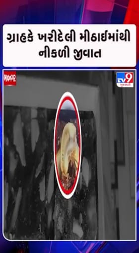 અખાદ્ય પદાર્થોનું ખુલ્લેઆમ વેચાણ...કાર્યવાહી ક્યારે?