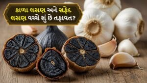 Black Garlic vs White Garlic: કાળા લસણ અને સફેદ લસણ વચ્ચે શું છે તફાવત, તેના ફાયદાઓ વિશે જાણો