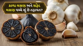 કાળા લસણ અને સફેદ લસણ વચ્ચે શું છે તફાવત