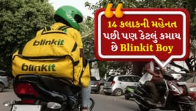 14 કલાકની મહેનત પછી પણ કેટલું કમાય છે Blinkit Boy?