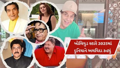 વર્ષ 2025માં બોલિવુડ માટે ખુબ જ દુખદભર્યું રહ્યું છે કારણ કે,આ ઈન્ડસ્ટ્રીએ અનેક સ્ટારને ગુમાવ્યા છે. હાલમાં જ બોલિવુડના દિગ્ગજ અભિનેતા ધર્મેન્દ્રએ દુનિયાને અલવિદા કહ્યું છે. તે પહેલા પણ અનેક સ્ટાર દુનિયાને અલવિદા કહી ચૂકયા છે. તો ચાલો આજે આપણે આ લિસ્ટ જોઈએ.