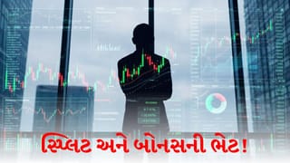 Stock Market : બોનસ સાથે સાથે શેર સ્પ્લિટ ! ટ્રેડિંગ બંધ થયા પછી રોકાણકારોને ખુશખબરી મળી
