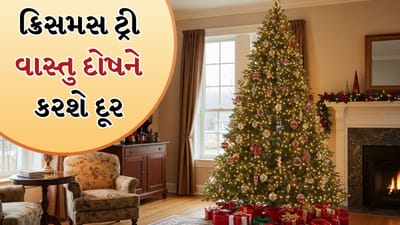 વાસ્તુ શાસ્ત્ર અનુસારક્રિસમસ ટ્રી માત્ર સુશોભનની વસ્તુ નથી પણ તેનું વિશેષ મહત્વ પણ છે. ક્રિસમસ ટ્રી તમારા ઘર અને કાર્યસ્થળમાં સકારાત્મકતા લાવી શકે છે.