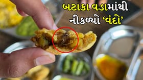 બટાકાવડા માંથી વંદો નીકળતાં ગ્રાહકે કરી ફરિયાદ, જુઓ Video