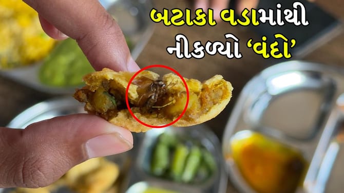 બટાકાવડા માંથી વંદો નીકળતાં ગ્રાહકે કરી ફરિયાદ, જુઓ Video