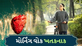 શિયાળામાં મોર્નિંગ વોક કરવાથી હાર્ટ એટેકનું જોખમ કેમ વધી શકે છે?