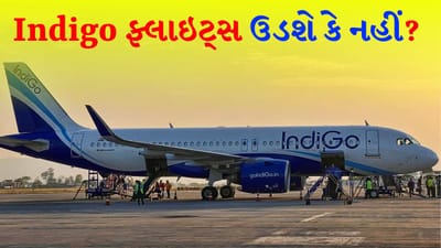 ચકલી ઉડે ફુરરર, પોપટ ઉડે ફુરરર, મેના ઉડે ફુરરર પણ Indigo ? સ્ટેન્ડ-અપ કોમેડિયનની પોસ્ટ થઈ વાયરલ, યુઝર્સ હસી હસીને લોટપોટ થયા