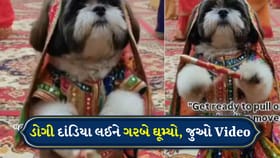 જેરી ડોગીના ગરબા, ઘાઘરા-ચોલીમાં ડાન્સ કરતો કૂતરો, જુઓ વીડિયો