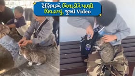 નાની ઉંમર મોટી દયા, બિલાડી માટે બાળકનું પ્રેમભર્યું પગલાએ જીત્યું દિલ