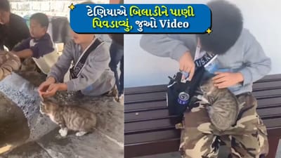 Cute Viral Video: આટલો ક્યુટ વીડિયો ક્યાય નહીં જોયો હોય, ટેણિયાએ બિલાડીને ખોબે-ખોબે પાણી પિવડાવ્યું, યુઝર્સ થયા મંત્રમુગ્ધ, જુઓ Video