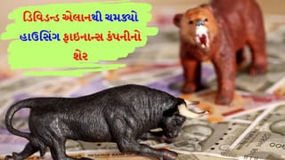 Stock Market : રોકાણકારોને મળશે દમદાર ડિવિડન્ડ ! હાઉસિંગ ફાઇનાન્સ કંપનીના શેરની મોટી જાહેરાત, સ્ટોક ₹1000 ને પાર જઈ શકે છે
