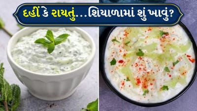શિયાળાની ઋતુમાં ખાવા-પીવા અંગે સૌથી સામાન્ય પ્રશ્ન દહીં વિશે હોય છે. કેટલાક કહે છે કે દહીં ઠંડુ હોય છે, જ્યારે અન્ય માને છે કે દહીં વિના પાચન યોગ્ય રીતે થતું નથી. આ બીજી મૂંઝવણ ઊભી કરે છે: રાયતું ખાવું કે સાદું દહીં? સાયન્સ અને શરીરની જરૂરિયાતોની દ્રષ્ટિએ આને સમજવાથી ઉકેલવું ખૂબ સરળ બની શકે છે.
