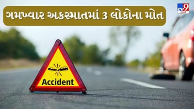 Breaking News : સુરેન્દ્રનગરના પાટડી પંથકમાં સર્જાયો ગમખ્વાર અકસ્માત, 3 યુવકનું ઘટનાસ્થળે મોત, જુઓ Video Breaking News : સુરેન્દ્રનગરના પાટડી પંથકમાં સર્જાયો ગમખ્વાર અકસ્માત, 3 યુવકનું ઘટનાસ્થળે મોત, જુઓ Video