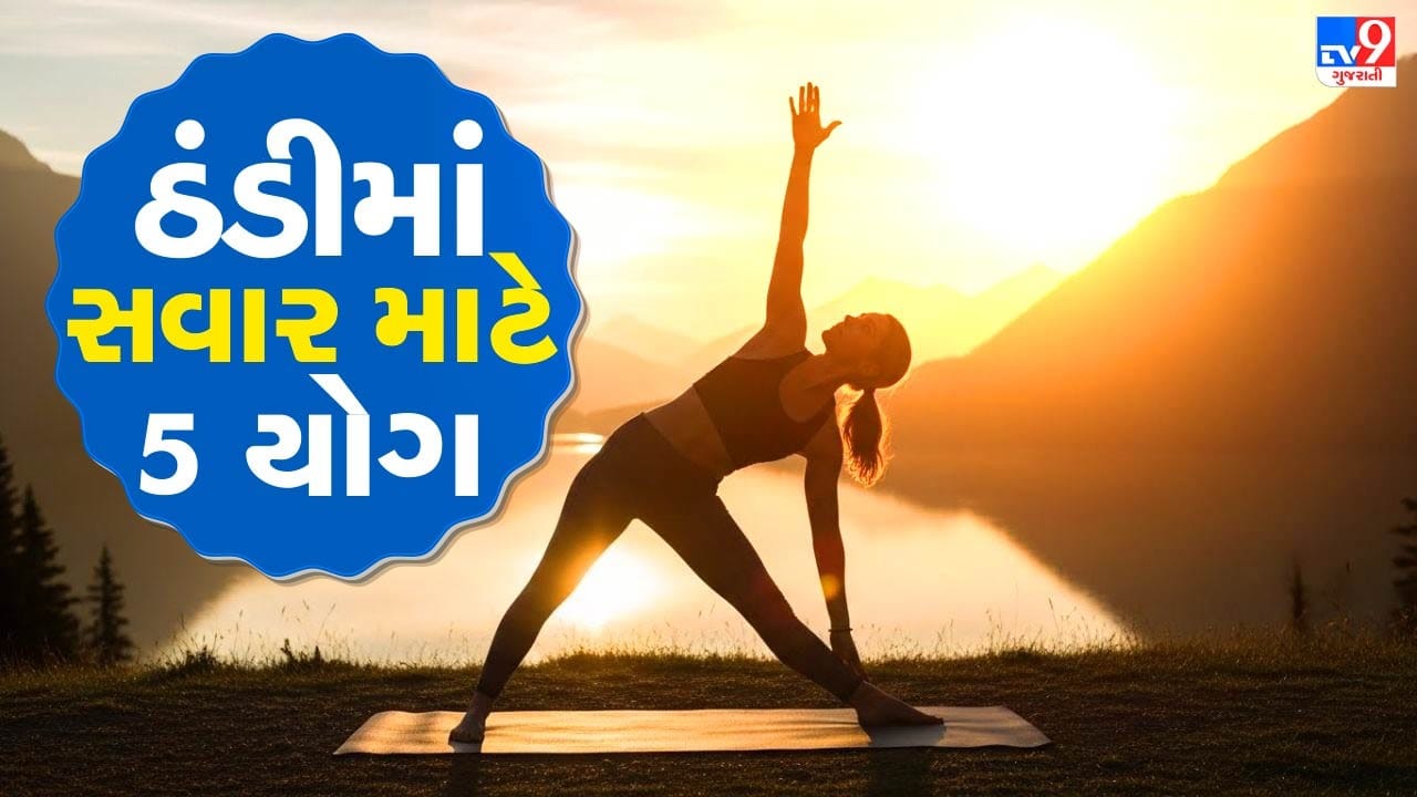 શિયાળાની ઠંડી સવારમાં ઘણી વાર લોકોને પથારી છોડવાની ઇચ્છા થતી નથી. આવી આળસના કારણે શરીર અને મન બંને દિવસભર થાકેલા રહે છે. ઠંડી હવાથી રક્ષણ મેળવવા માટે શરીર પોતાનું તાપમાન જાળવવા પ્રયત્નશીલ રહે છે, જેમાં નોંધપાત્ર ઊર્જાનો ખર્ચ થાય છે. ( Credits: AI Generated )