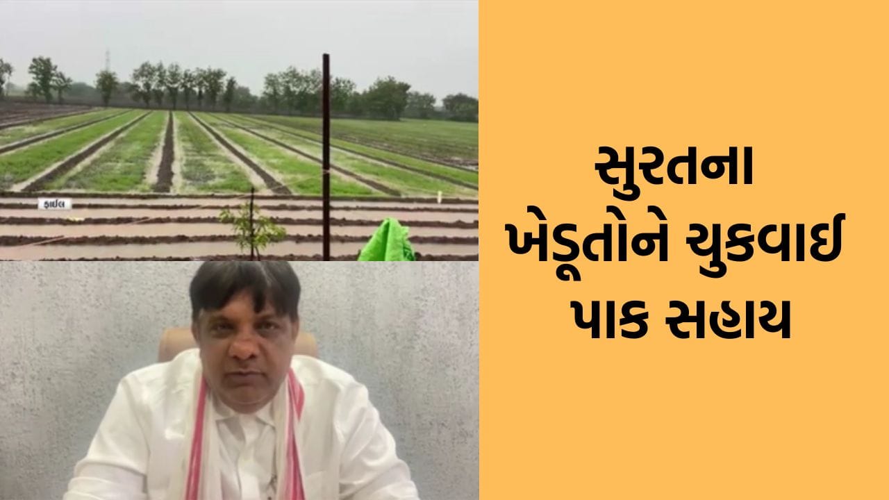 Payment of crop damage assistance to farmers of Surat, 11 crores 27 lakhs paid to 5 thousand farmers- Video
