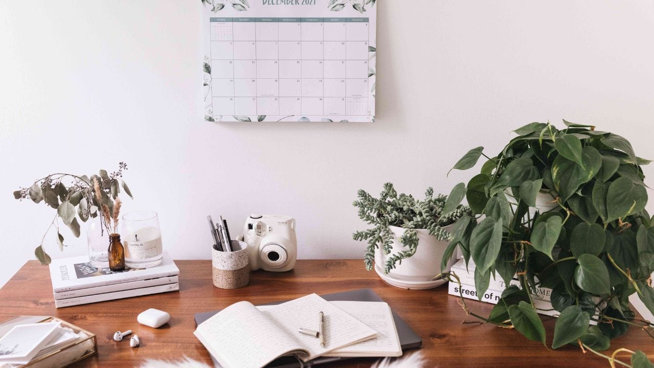 તમે તમારી આસપાસના ઘણા ઘરોમાં મની પ્લાન્ટ જોયા હશે. જો કે બહુ ઓછા લોકો જાણે છે કે મની પ્લાન્ટ ફક્ત ઘર માટે જ નહીં પરંતુ ઓફિસ ડેસ્ક માટે પણ અત્યંત શુભ છે. આ છોડ નકારાત્મક ઉર્જા શોષી લે છે અને પોઝિટિવ વાઇબ્સ ફેલાવે છે. તેને યોગ્ય દિશામાં રાખવાથી પગારમાં વધારો અને કારકિર્દીમાં વૃદ્ધિનો માર્ગ મોકળો થઈ શકે છે.
