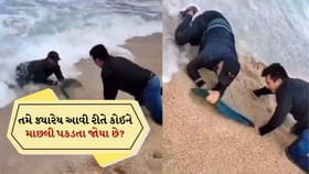 આવો ફની video ક્યારેય નહીં જોયો હોય? માછલી હાથમાં આવી કે પાણીમાં ગઈ?