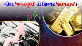 Gold Silver Rate : સોના-ચાંદીની કિંમતમાં ગજબનો ઉલટફેર ! ક્યારેક ભાવ ઘટયા તો ક્યારેક વધ્યા, ગયા અઠવાડિયે આ બંને ધાતુએ રોકાણકારોના શ્વાસ અધ્ધર કર્યા