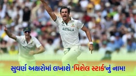 મિશેલ સ્ટાર્કે 30 વર્ષ જૂનો રેકોર્ડ તોડ્યો, વકાર યુનુસ પણ પાછળ રહી ગયો