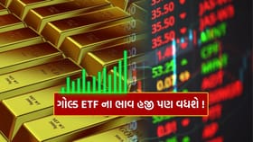 ગોલ્ડ ETF માં અત્યાર સુધીમાં 72% નો વધારો, જાણો હવે શું થશે..