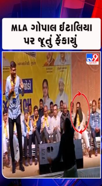 મારા પર હુમલા પાછળ ભાજપ અને કોંગ્રેસ બંને જવાબદાર : ઇટાલિયા