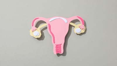 સામાન્ય રીતે મેનોપોઝ 40 વર્ષની ઉંમર બાદ થાય છે. કેટલીક મહિલાઓમાં આ ફેઝ કેટલાક મહિના સુધી ચાલે છે. તો કેટલીક મહિલાઓમાં વર્ષો સુધી ચાલે છે. મેનોપોઝનો મતલબ હોય છે પીરિયડ્સ સંપૂર્ણ બંધ થઈ જવા. મેનોપોઝ બાદ મહિલાઓને રિપ્રોડક્ટિવ ઓર્ગેન કામ કરવાનું બંધ કરી દે છે. જેનાથી તે ફરી પ્રેગ્નનેટ થઈ શકતી નથી.