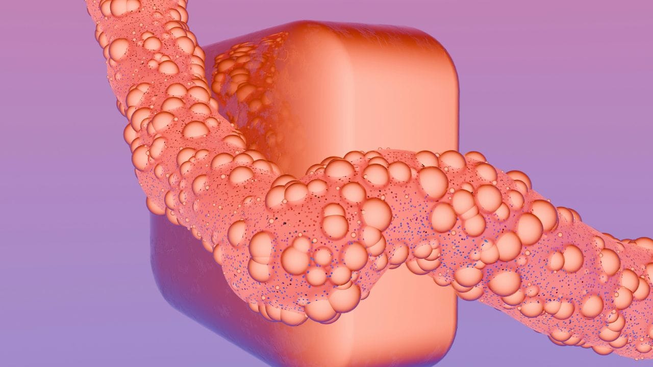 Gynecologist Tips (6)