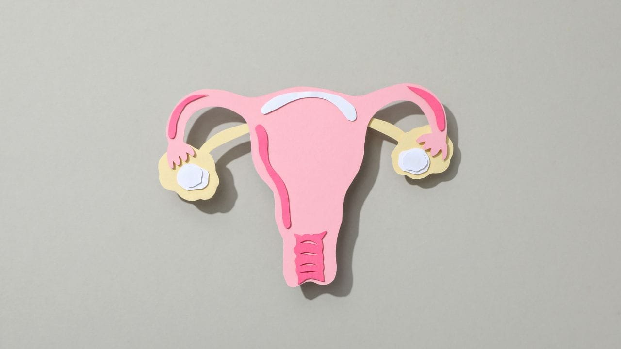 એક્ટોપિક ગર્ભાવસ્થા ત્યારે થાય છે જ્યારે ફળદ્રુપ ઇંડા ગર્ભાશયની બહાર, ઘણીવાર ફેલોપિયન ટ્યુબમાં, આવે છે અને વધે છે. અગાઉની એક્ટોપિક ગર્ભાવસ્થા ટ્યુબલને નુકસાન પહોંચાડી શકે છે અને પાછળથી ફેલોપિયન ટ્યુબ બ્લોકેજનું જોખમ વધારી શકે છે.