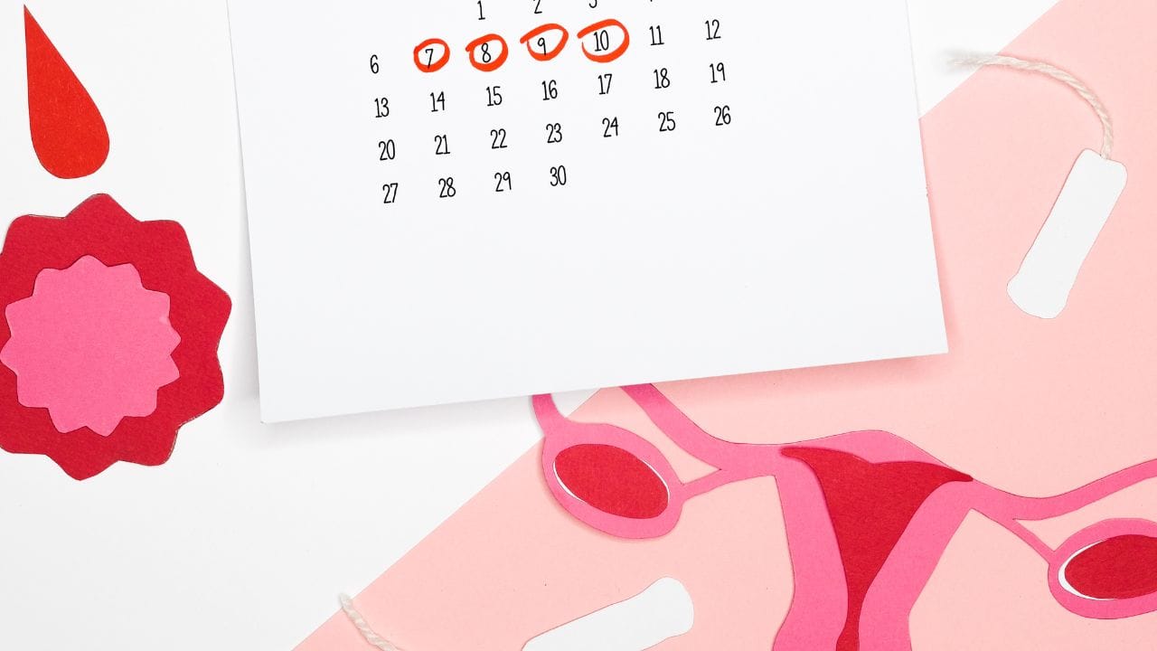  કેટલીક મહિલાઓને ઓવ્યુલેશનની આસપાસ બ્રેસ્ટમાં સોજો આવવો કે પછી દુખાવો પણ થાય છે. આ  1-2 દિવસમાં યોગ્ય થઈ જાય છે.જે પ્રોજેસ્ટેરોન હોર્મોન વધવાનું કારણ હોય છે.