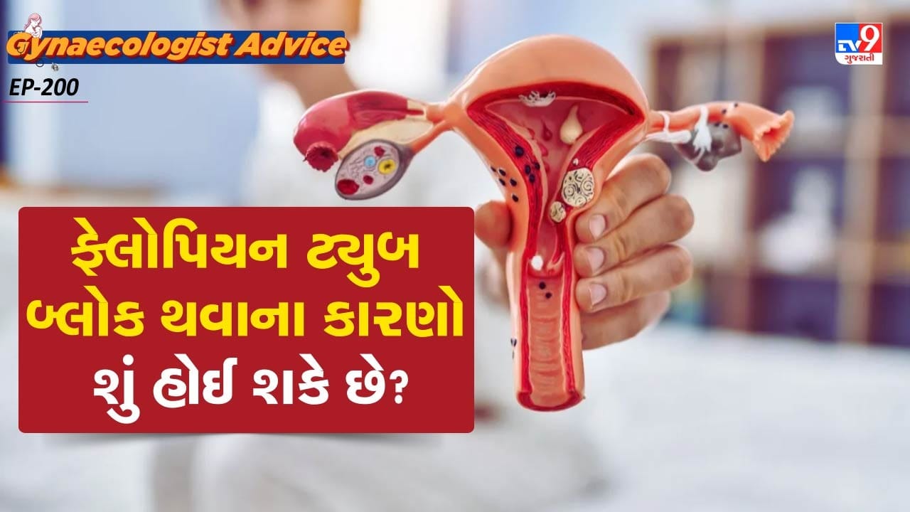 પરંતુ ફેલોપિયન ટ્યુબમાં કોઈ પણ પ્રકારની મુશ્કેલી આવવાના કારણે મહિલામાં ગર્ભધારણ કરવાની સમસ્યા થાય છે. ફેલોપિયન ટ્યુબ બ્લોક થવાના અનેક કારણો હોય શકે છે. તો ચાલો આ વિશે વિસ્તારથી જાણીએ.