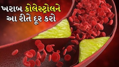 High Cholesterol: ખરાબ કોલેસ્ટ્રોલ શરીર માટે અત્યંત ખતરનાક છે. તે ધમનીઓની દિવાલો પર એકઠા થાય છે અને લેયર બનાવે છે. જે તેમને સખત અને સાંકડી બનાવે છે અને રક્ત પ્રવાહને પ્રતિબંધિત કરે છે. આનાથી હાર્ટ એટેક અને સ્ટ્રોકનું જોખમ વધે છે.