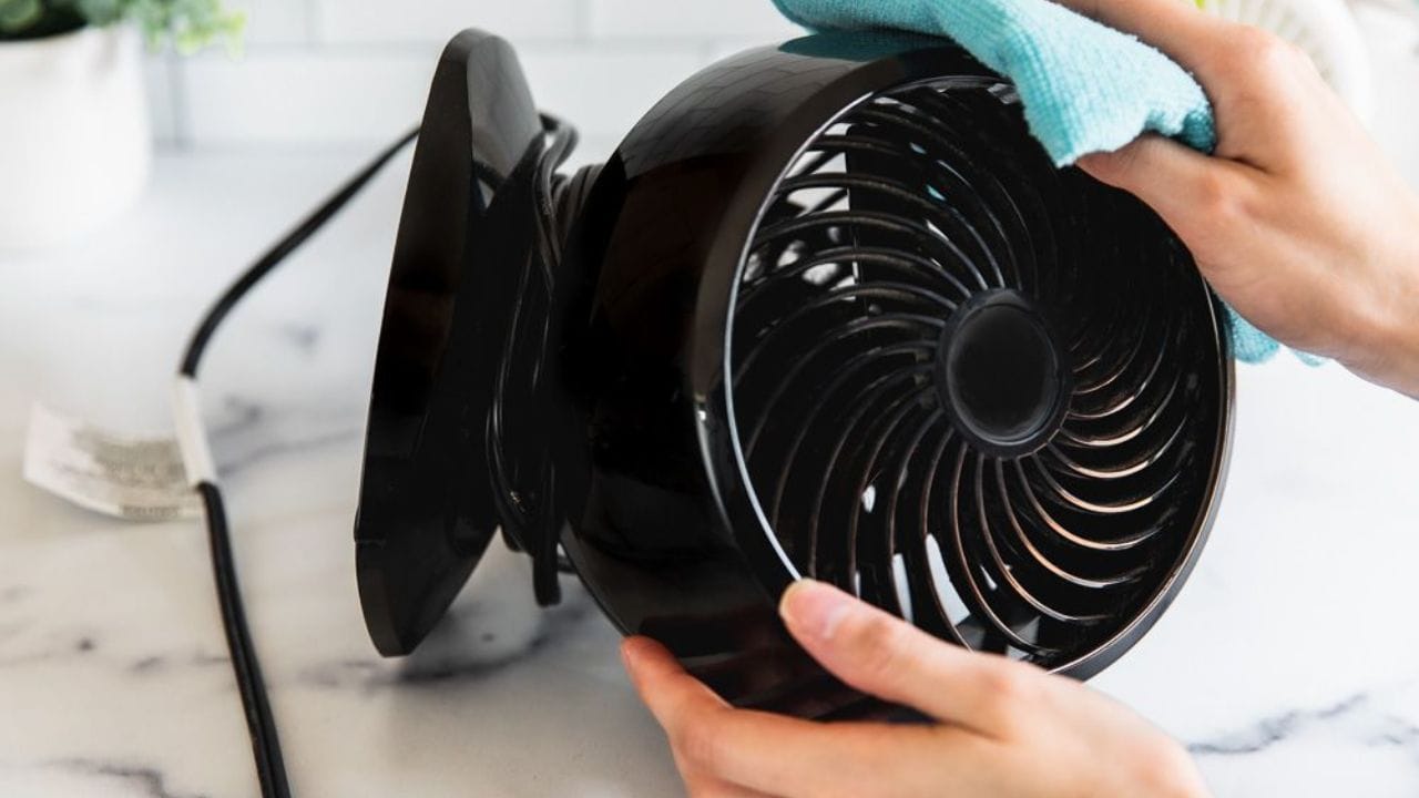 ટેબલ ફેનની મોટર અને ગ્રિલને સાફ કરો: હવે ટેબલ ફેનની મોટર અને ગ્રિલને ભીના કપડાથી સાફ કરો. તમે પંખાની મોટર સાફ કરવા માટે વેક્યુમ ક્લીનરનો પણ ઉપયોગ કરી શકો છો. જો ભીનું કપડું મોટર અને બોડી સાફ ન કરે તો તમે ટૂથબ્રશનો ઉપયોગ કરી શકો છો. આ બધા ઘટકોને તડકામાં મૂકો. જેથી તે સારી રીતે સુકાઈ જાય.
