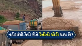 રેત માફિયાઓ નદીમાંથી રેતી કેવી રીતે કાઢે છે? જુઓ વીડિયો