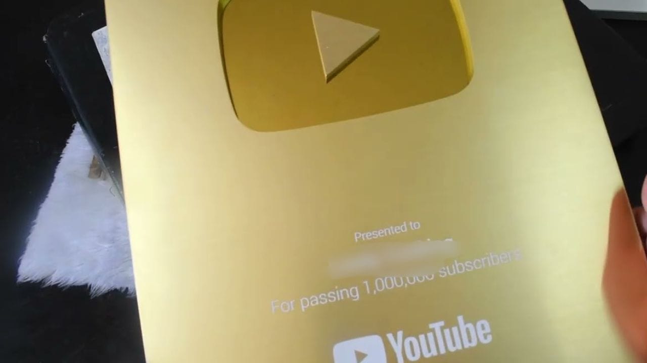 યુટ્યુબ પાર્ટનર પ્રોગ્રામમાં જોડાતા સર્જકો યુટ્યુબથી કમાણી કરે છે. યુટ્યુબ જાહેરાતકર્તાઓ સામાન્ય રીતે દર 1,000 વ્યૂ માટે $2 ચૂકવે છે. વધુમાં જો કોઈ ચેનલના વીડિયો વધુ વ્યૂ મેળવે છે, તો કમાણી ઝડપથી વધે છે.