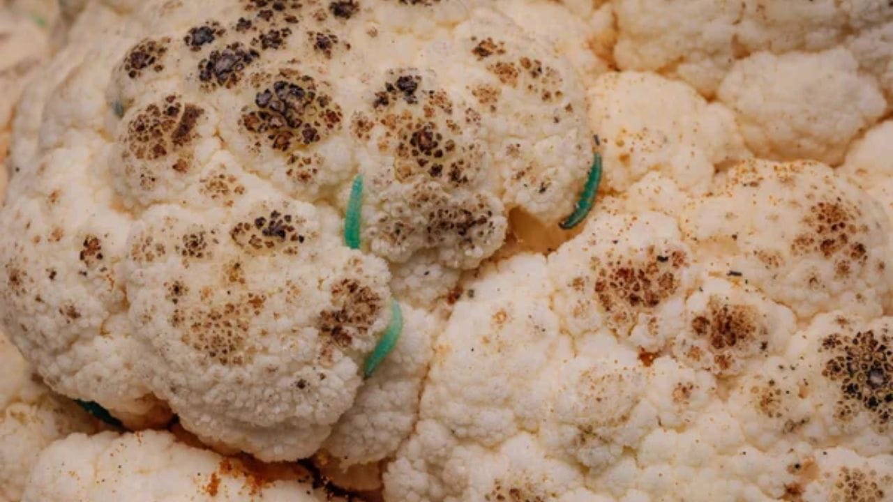 ડાઘ પર ધ્યાન આપો: હંમેશા દૂધ જેવું સફેદ ફૂલાવર ખરીદો. જો ફૂલાવર પર નાના કાળા અથવા ઘેરા ભૂરા રંગના ફોલ્લીઓ દેખાય છે તો તે ફૂગ અથવા જંતુના ઉપદ્રવનો સંકેત આપે છે. આવા ફૂલાવરથી દૂર રહો.