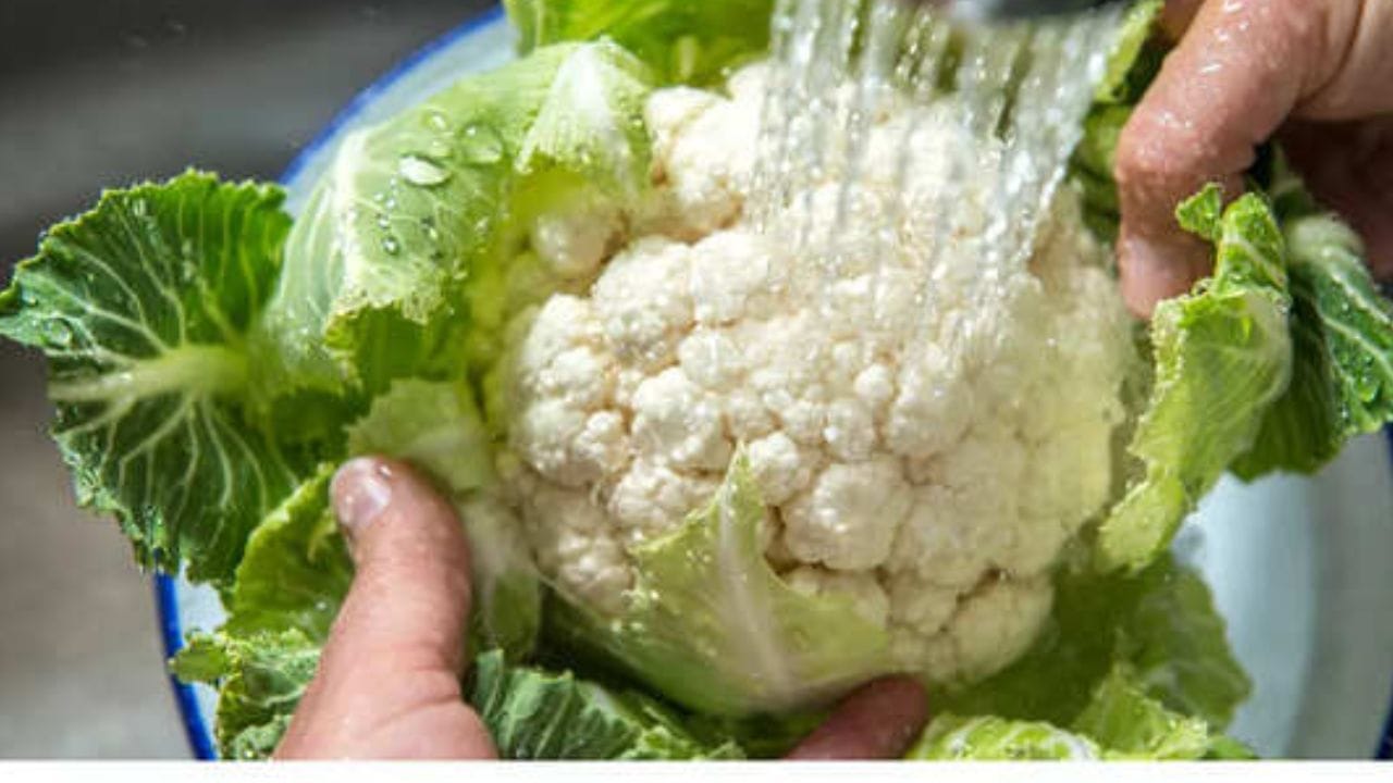 ફૂલાવર સાફ કરવાની સાચી રીત: ફૂલાવરને ઘરે લાવ્યા પછી તેને કાપતા પહેલા 10-15 મિનિટ માટે ગરમ મીઠાના પાણીમાં અથવા હળદરના પાણીમાં પલાળી રાખો. આનાથી અંદર છુપાયેલા કોઈપણ નાના જંતુઓ બહાર નીકળી જશે.