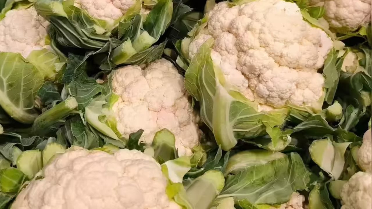 પાંદડાઓની તાજગી તપાસો: તાજા, ચેપ વગરના ફૂલાવરના પાંદડા હંમેશા તેજસ્વી લીલા રંગના હોય છે અને દાંડી સાથે જોડાયેલા હોય છે. જો પાંદડા સુકાઈ ગયા હોય પીળા હોય અથવા તેમાં કાણા હોય, તો તે સંકેત છે કે જંતુઓ તેમાંથી ખાઈ ગયા છે.