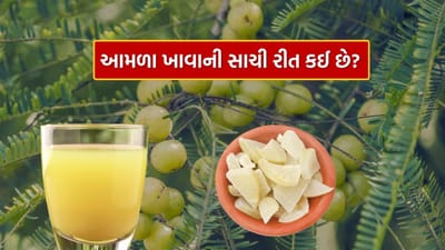 આમળા પોષક તત્વોથી ભરપૂર છે. તેમાં વિટામિન સી સારી માત્રામાં હોય છે. તે ફાઇબર, એન્ટીઑકિસડન્ટ, આયર્ન અને કેલ્શિયમનો પણ સારો સ્ત્રોત છે.