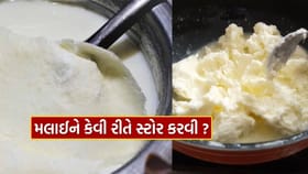 મલાઈમાં ખાટી ગંધ ન આવે તે માટે તેને કેવી રીતે સ્ટોર કરવી ?
